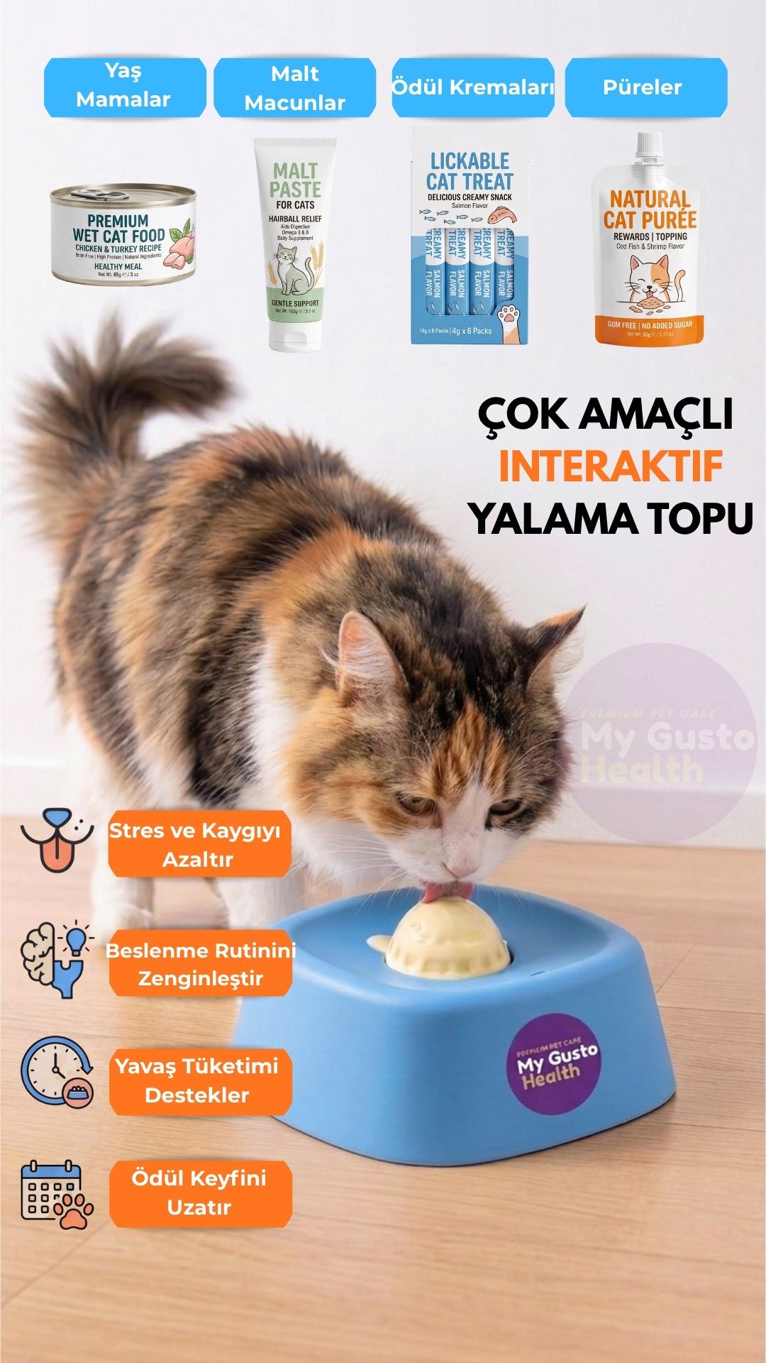 Mavi renk interaktif kedi yalama topunu yalayan tekir kedi