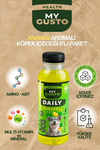 Ananas Aromalı Daily Köpek İçeceği 6'lı Set 300 ml