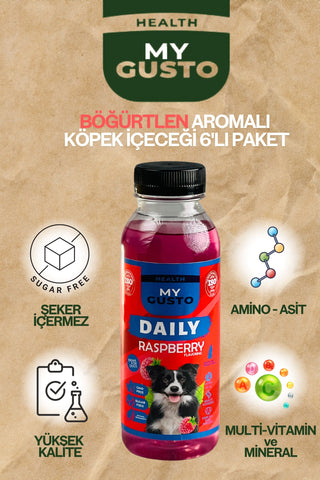 Daily Köpek İçeceği Böğürtlen Aromalı 6'lı Kutu 300 ml