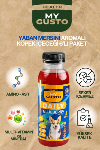 Köpek İçeceği Daily Yaban Mersini Aromalı 6'lı Paket 300 ml