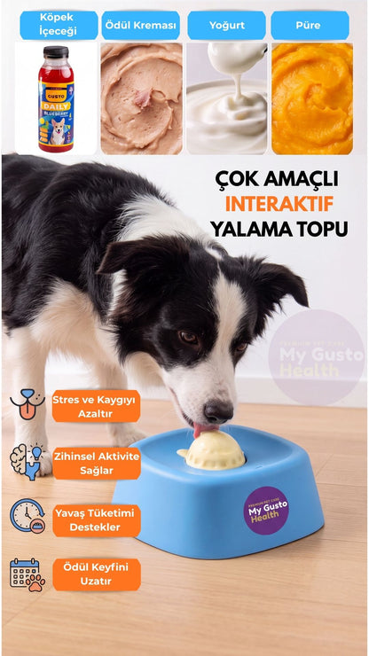 Mavi interaktif yalama kabını yalayan border collie; uyumlu içecek-ödül türleri ve ürün faydalarını gösteren infografik