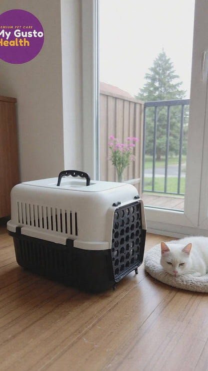 Kedi Taşıma Çantası